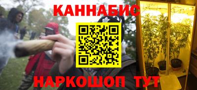 шишки Гагарин