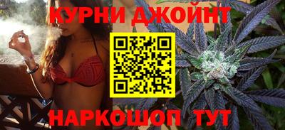 шишки Гагарин
