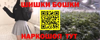 шишки Гагарин