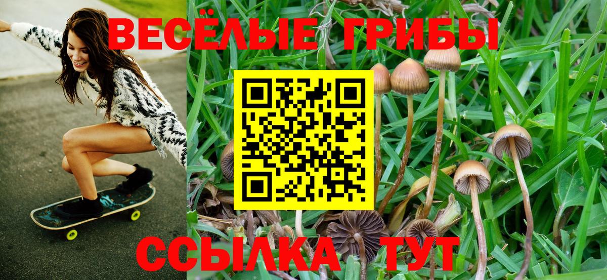 Псилоцибиновые грибы мухоморы Кемерово